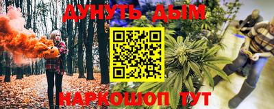 гидропоника Можга